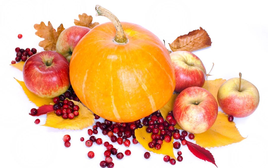 What Are Some Fall Foods You Should Add in Your Diet?